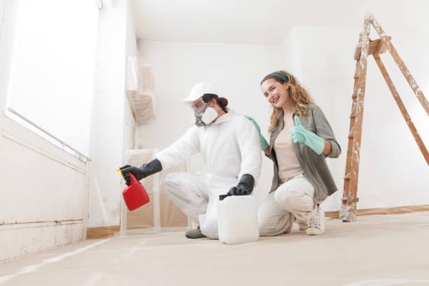 Best Basement Mold Removal  in Clay City, KY